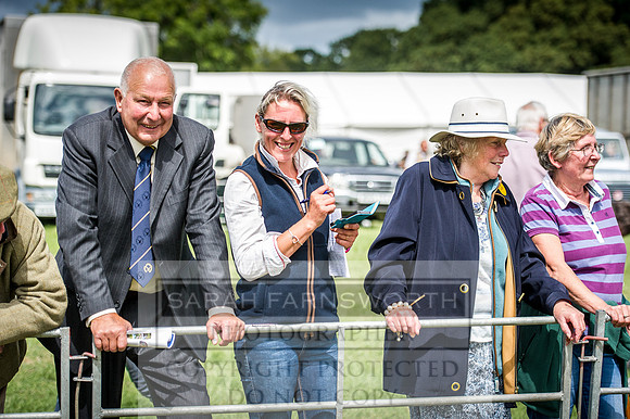 Honiton Hound Show 2016-135