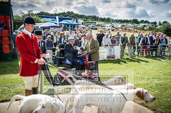 Honiton Hound Show 2016-93