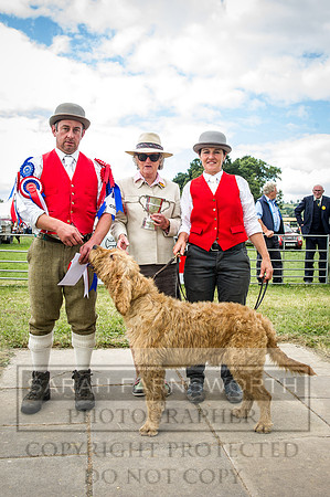 Honiton Hound Show 2016-214