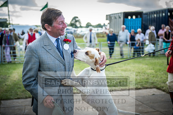 Honiton Hound Show 2016-271