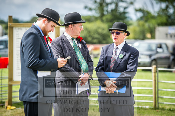 Honiton Hound Show 2016-164