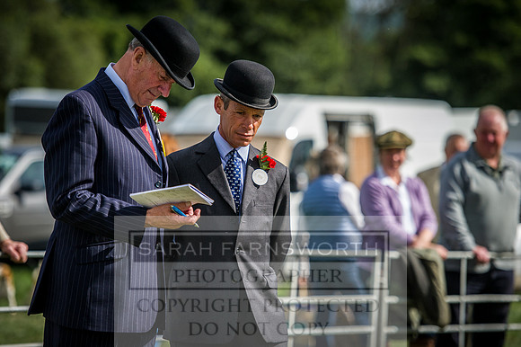 Honiton Hound Show 2016-13