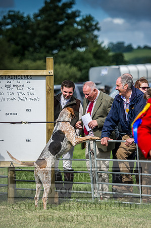 Honiton Hound Show 2016-40