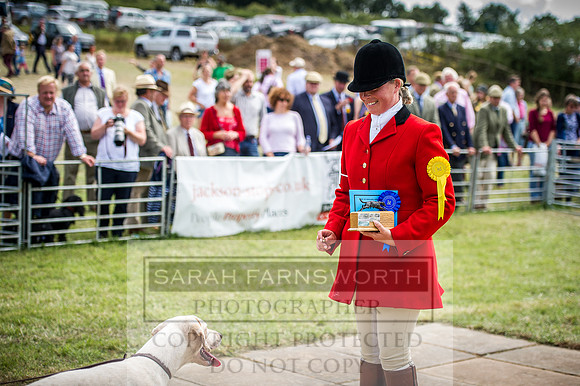 Honiton Hound Show 2016-184