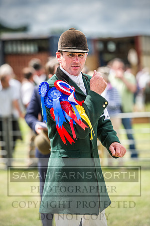Honiton Hound Show 2016-129