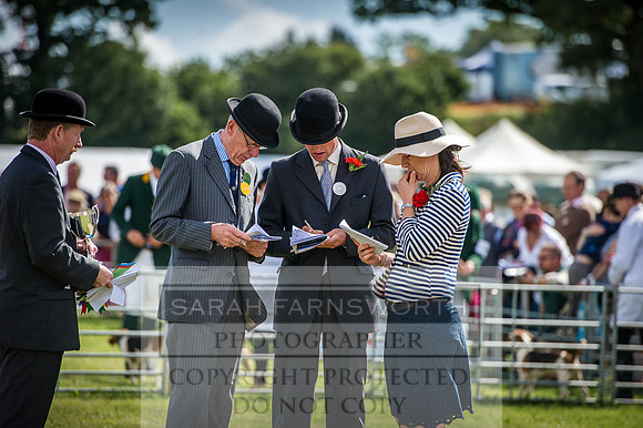 Honiton Hound Show 2016-27