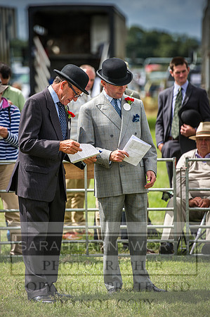 Honiton Hound Show 2016-130