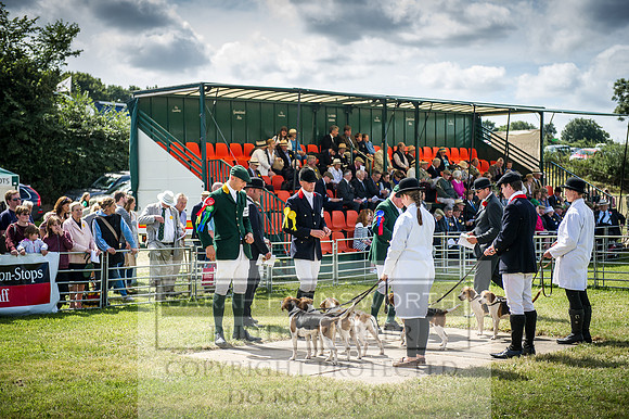 Honiton Hound Show 2016-109