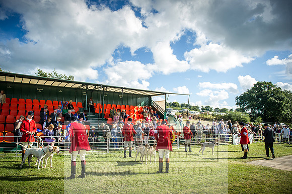 Honiton Hound Show 2016-252