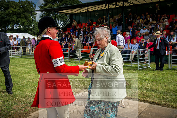 Honiton Hound Show 2016-178