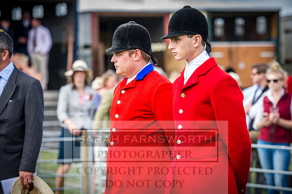 Honiton Hound Show 2016-105