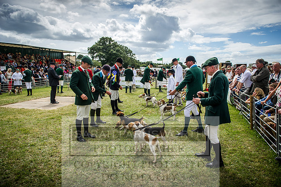 Honiton Hound Show 2016-169