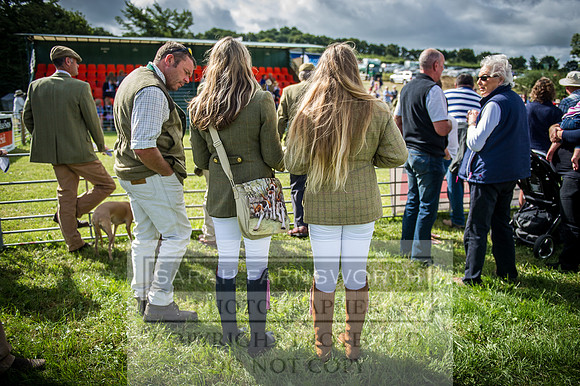 Honiton Hound Show 2016-15