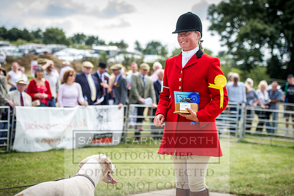 Honiton Hound Show 2016-186