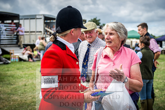 Honiton Hound Show 2016-188