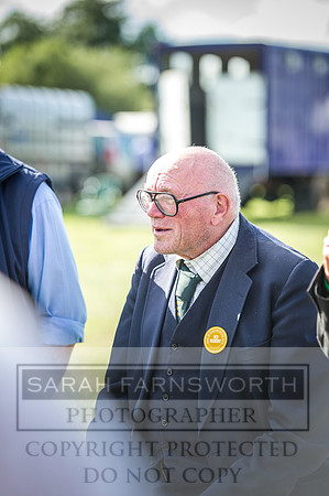 Honiton Hound Show 2016-261