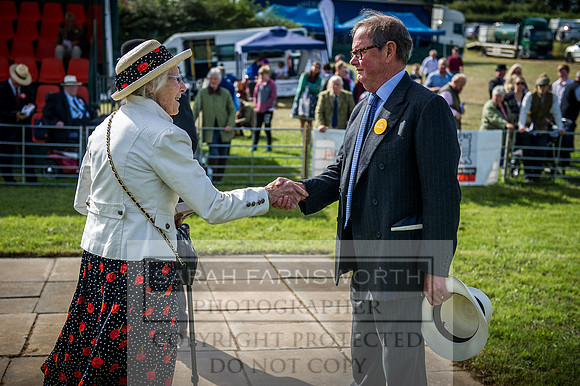 Honiton Hound Show 2016-8