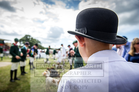 Honiton Hound Show 2016-168