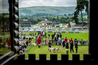 Wales & Border Counties Hound Show 2015