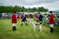 Builth Wells Hound Show 15-12