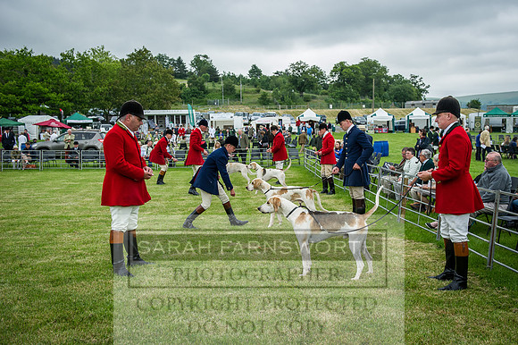 Builth Wells Hound Show 15-12