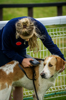 Builth Wells Hound Show 15-7