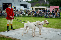 Builth Wells Hound Show 15-20
