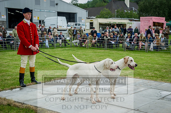Builth Wells Hound Show 15-20