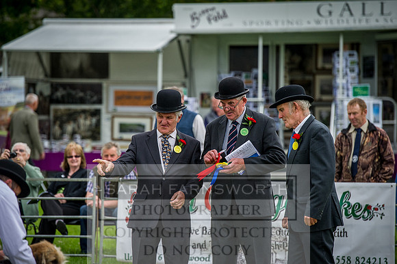 Builth Wells Hound Show 15-18