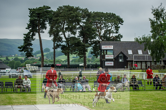 Builth Wells Hound Show 15-14