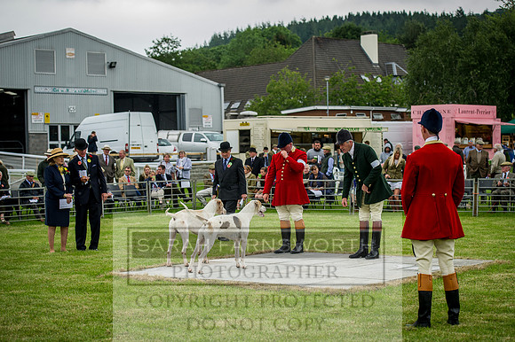 Builth Wells Hound Show 15-21