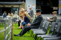 Builth Wells Hound Show 15-1