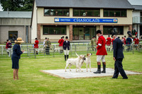 Builth Wells Hound Show 15-3