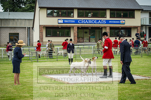 Builth Wells Hound Show 15-3