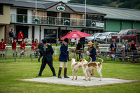 Builth Wells Hound Show 15-2