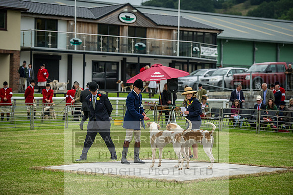 Builth Wells Hound Show 15-2