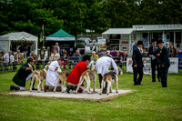 Builth Wells Hound Show 15-17