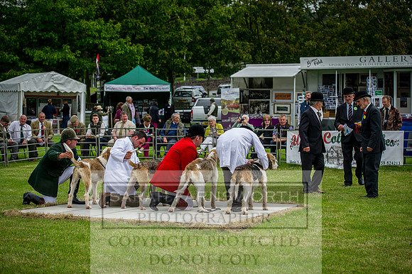 Builth Wells Hound Show 15-17