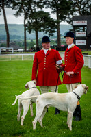 Builth Wells Hound Show 15-8