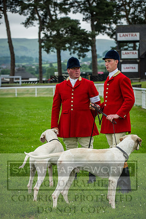 Builth Wells Hound Show 15-8