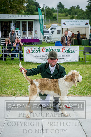 Builth Wells Hound Show 15-19