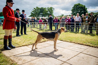 Honiton Hound show 2015-20