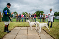 Honiton Hound show 2015-10