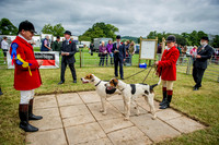 Honiton Hound show 2015-11