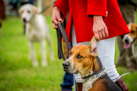 Honiton Hound show 2015-6