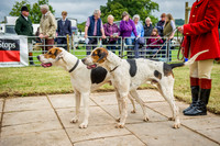 Honiton Hound show 2015-12