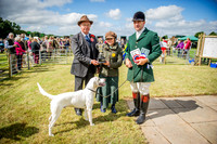 Honiton Hound show 2015-19