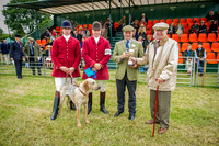 Honiton Hound show 2015-13