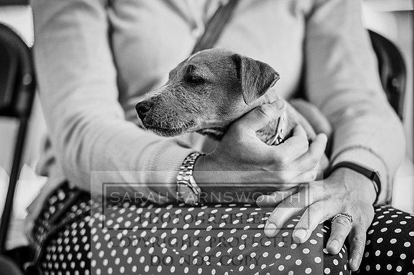 PFoH 2015-58 bw