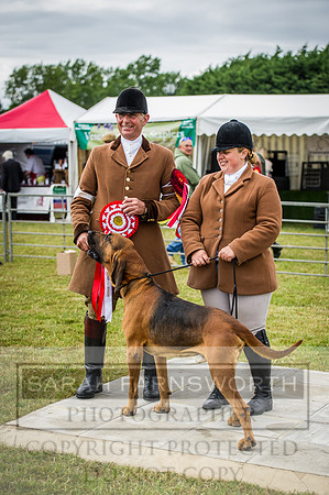 PFoH 2015-238